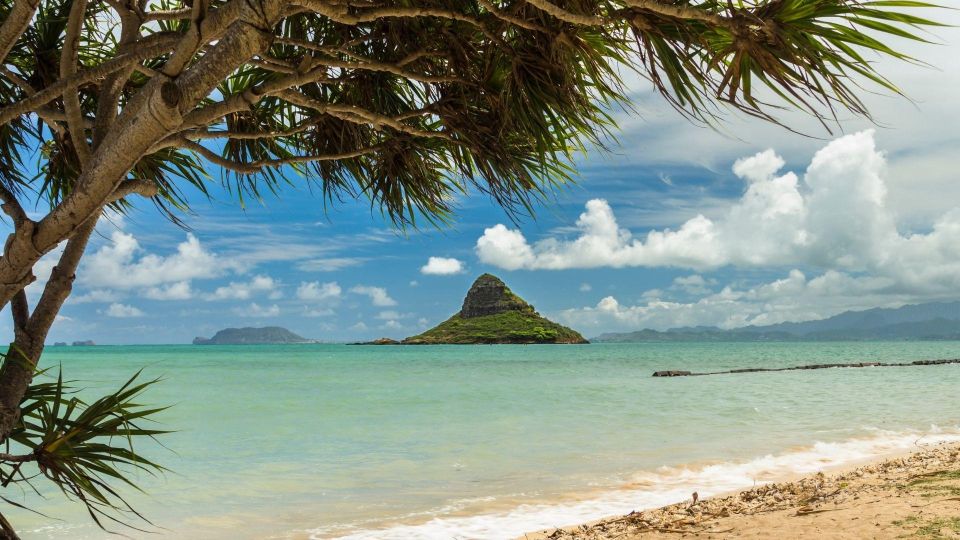 Oahu: North Shore Circle Island Small-Group Tour - A 6.5-hour Circle Island route that actually saves time