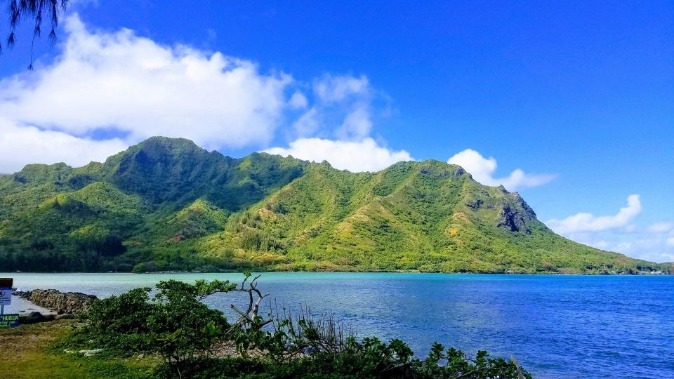 Oahu: North Shore Circle Island Small-Group Tour - The food-stop rhythm: Tropical Farms, Dole Plantation, and Kahuku trucks