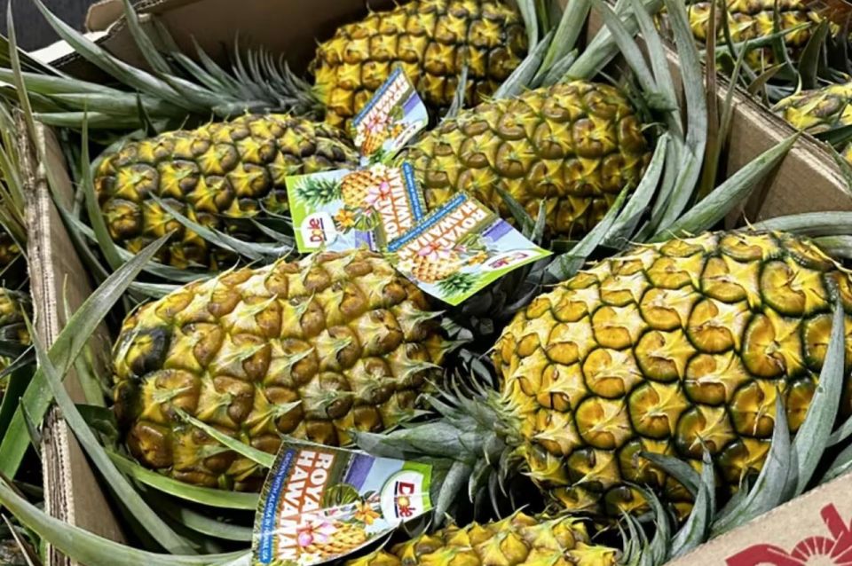 Oahu: North Shore Dole Pineapple Farm Tour - North Shore Pineapple, Coffee, and Beach Time in One Long Morning