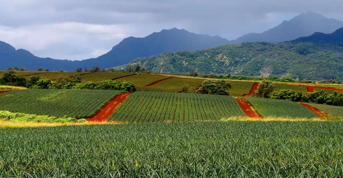 Oahu: North Shore Dole Pineapple Farm Tour - Pickup Early on Oahu: Where to Meet and What to Wear