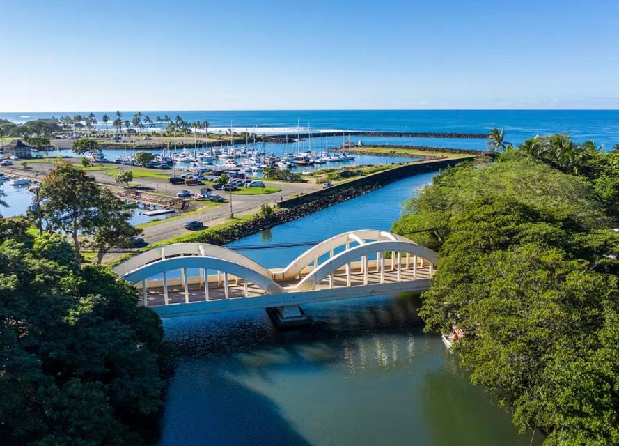 Oahu: North Shore Dole Pineapple Farm Tour - North Shore Beach Break: Monk Seals and Turtle Possibilities