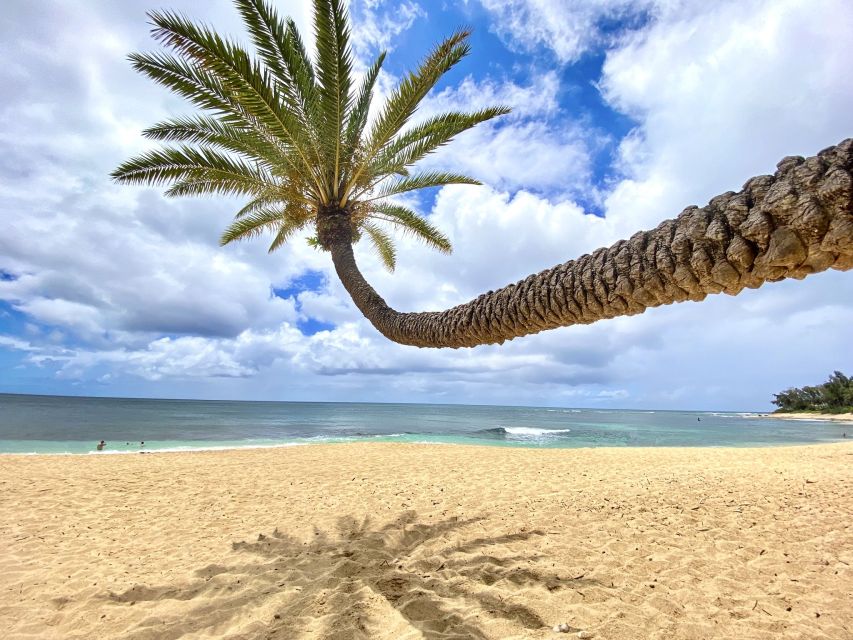 Oahu: North Shore Experience and Dole Plantation - Key things I’d plan around