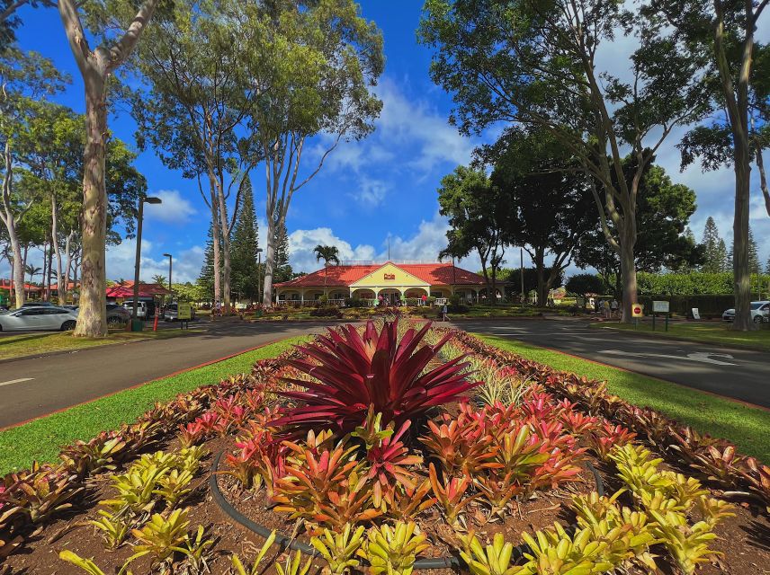 Oahu: North Shore Experience and Dole Plantation - Why This North Shore Day Feels Easier Than DIY Driving