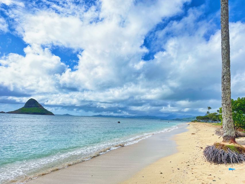Oahu: North Shore Experience and Dole Plantation - Sunset Beach and Haleiwa Alii Beach: Soft Sand, Big Surf (When Winter Shows Up)