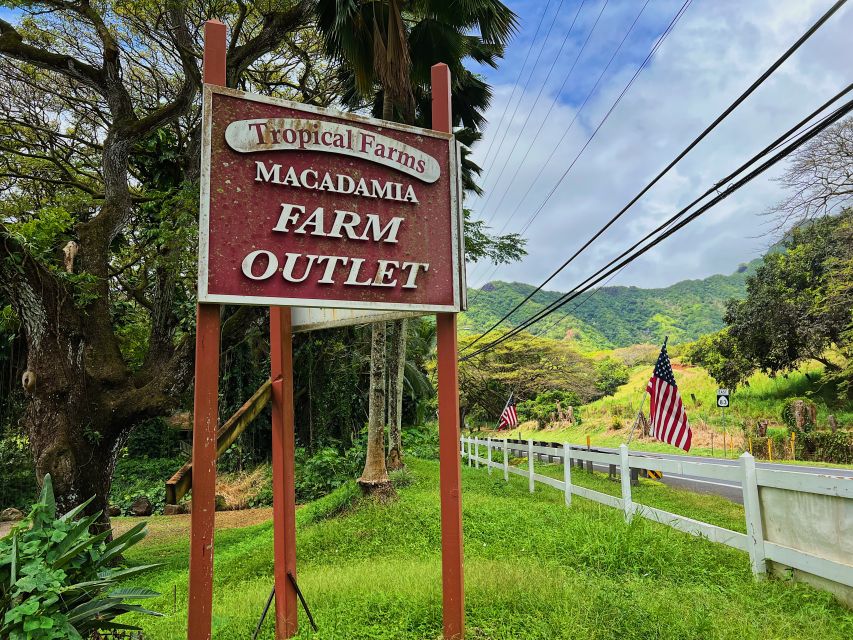 Oahu: North Shore Experience and Dole Plantation - Group Size, Comfort, and the Reality of an 8-Hour Day