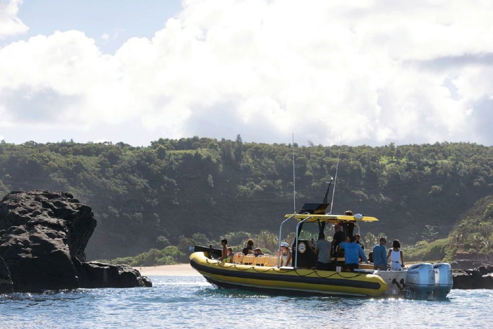 Oahu: North Shore Haleʻiwa: Private Boat Charter - Wildlife Viewing on the Water: sea turtles, spinner dolphins, and more