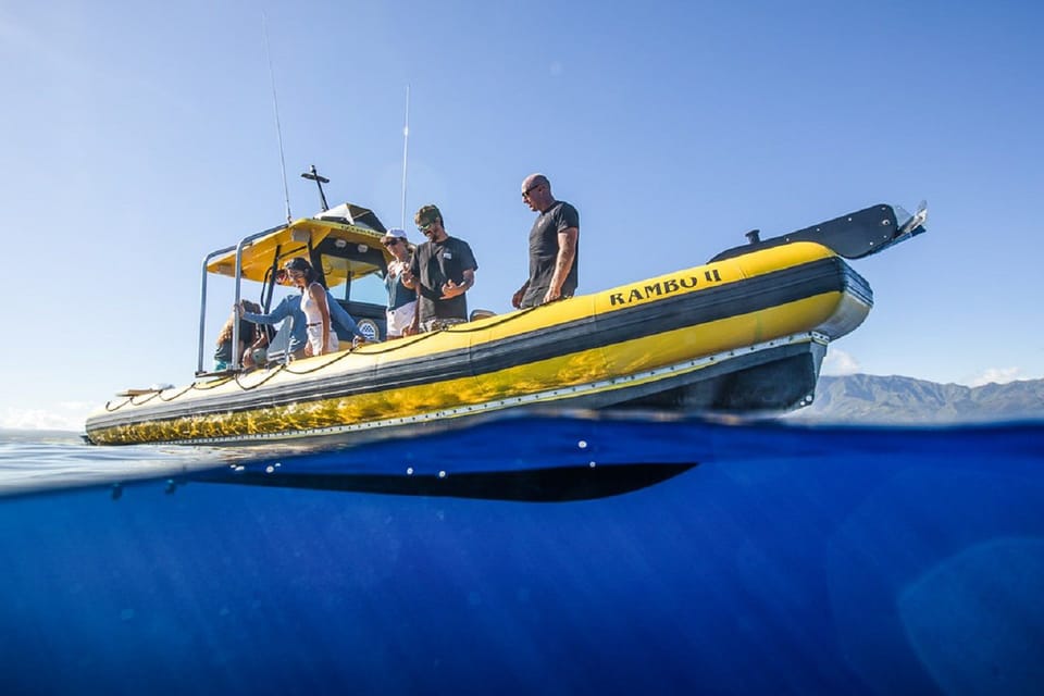 Oahu: North Shore Snorkeling Tour from Haleiwa - Key things I’d bank on before you go