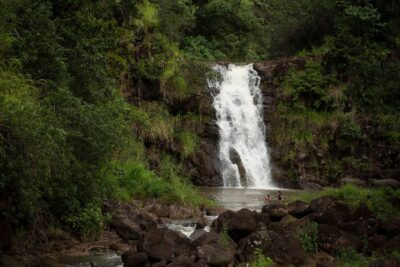 Oahu: North Shore Waterfall Swim - Waimea Valley Botanical Garden: The Paved 1-Mile Walk
