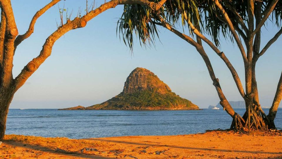 Oahu: Oahu Ultimate Grand Circle Island Tour - Kualoa and Laie: where the bus turns into a mini cultural lesson