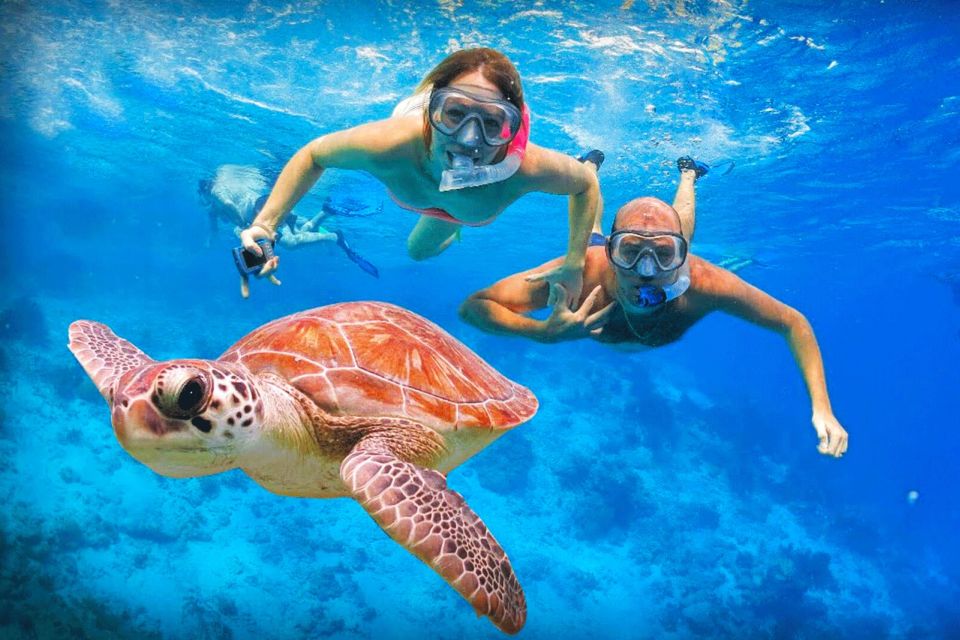 Oahu: Oahu Ultimate Grand Circle Island Tour - Lunch and food stops: what you get, what you pay for