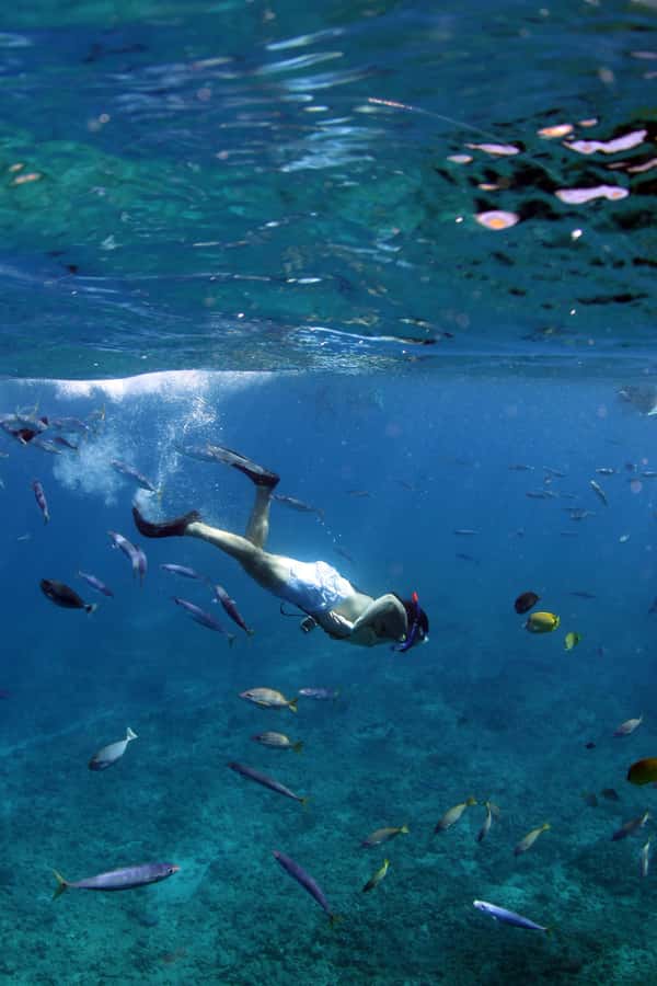 Oahu: Off road Stand-Up ATV and Sunset Snorkel Cruise - Stand-Up ATV plus Sunset Snorkel: why this combo makes sense