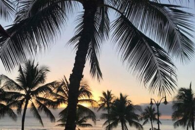 Oahu Personalized Private Tour - Your Guide Makes the Day (And Can Change Everything)