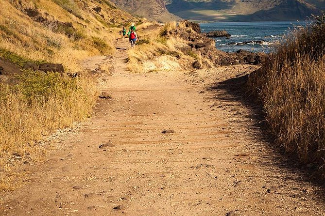 Oahu Personalized Private Tour - Stop 3: Makapu‘u Point for East-and-South Views