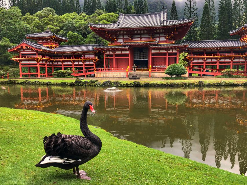 Oahu: Private Best of Oahu Sightseeing Tour - Transportation Rules and Comfort Tips That Keep the Day Smooth