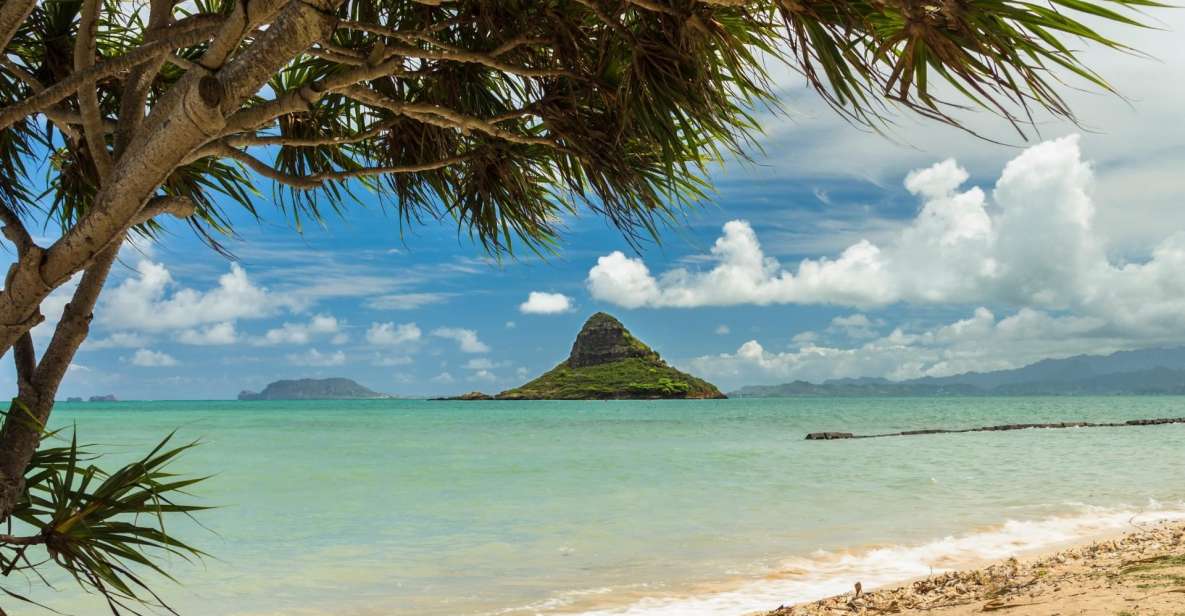 Oahu: Private Custom Island Tour - Pickup, timing, and the flow you can expect
