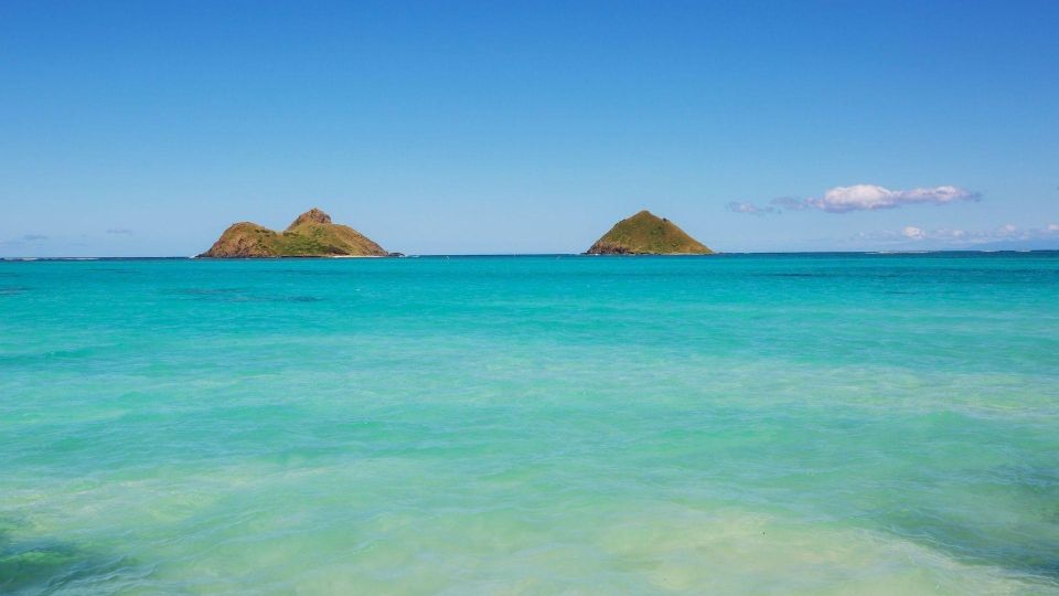 Oahu: Private Custom Island Tour - North Shore: surf country, Laniakea turtles, and Haleiwa’s street rhythm