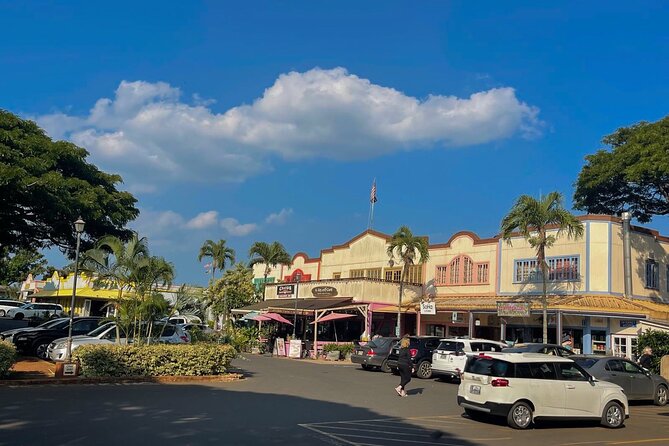 Oahu Private Tour North Shore, Waimea Falls and Dole Plantation - A North Shore Day With Real Variety