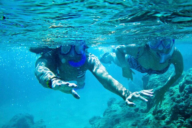 Oahu Private Tour North Shore, Waimea Falls and Dole Plantation - Waimea Falls: The Trail, the Swim Option, and the Extra Cost