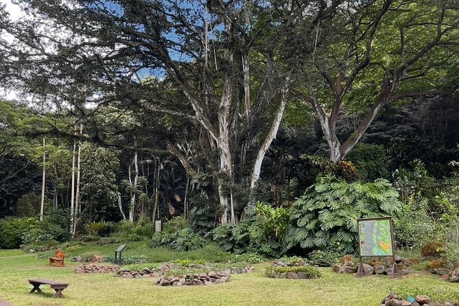 Oahu Private Tour North Shore, Waimea Falls and Dole Plantation - Sunset Beach and North Shore Surf Spots