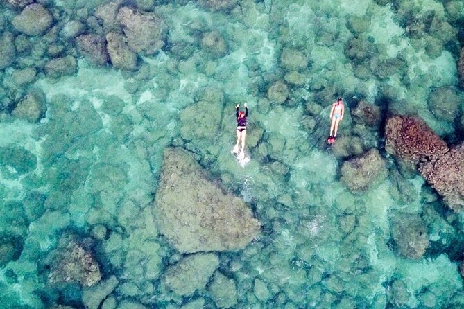 Oahu Private Tour North Shore, Waimea Falls and Dole Plantation - Haleiwa: Surf Town Stroll and Real-Feeling Stops