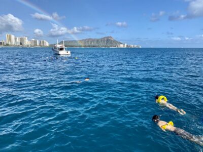 Oahu: Private Turtle Snorkeling with Customizable Itinerary - Meeting at C Pier and getting oriented fast