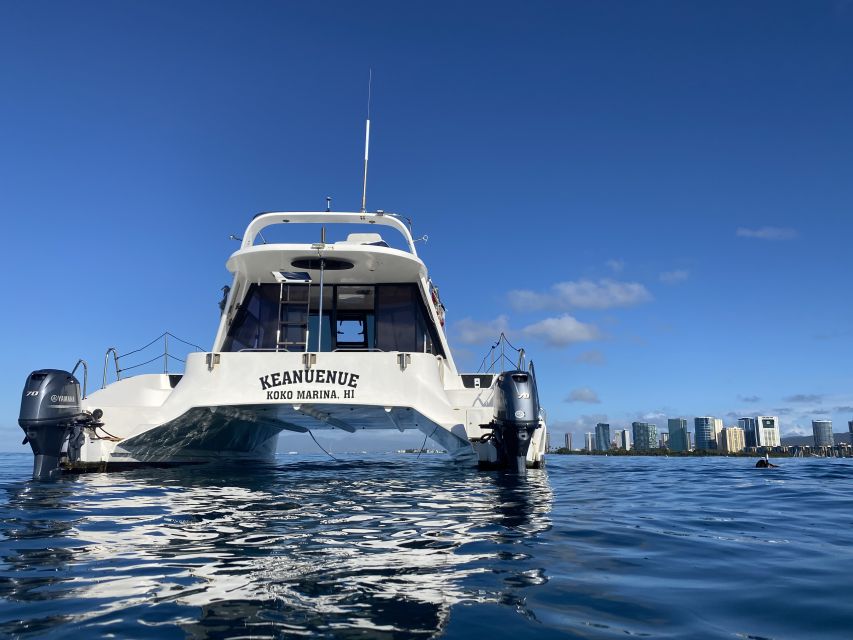 Oahu: Private Turtle Snorkeling with Customizable Itinerary - Waikiki wildlife viewing plus a smarter way to avoid crowds
