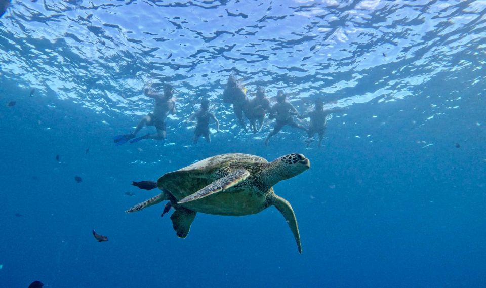 Oahu: Private Turtle Snorkeling with Customizable Itinerary - The catamaran comfort that makes snorkeling day actually enjoyable