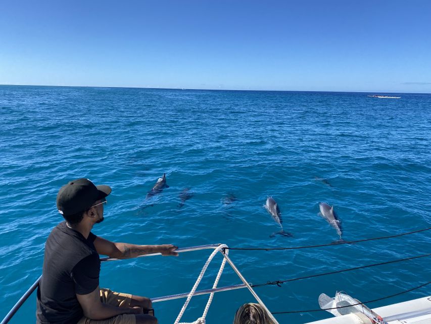 Oahu: Private Turtle Snorkeling with Customizable Itinerary - What’s included vs. what you’ll need to plan