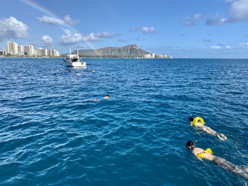Oahu: Private Turtle Snorkeling with Customizable Itinerary - Meeting at C Pier and getting oriented fast