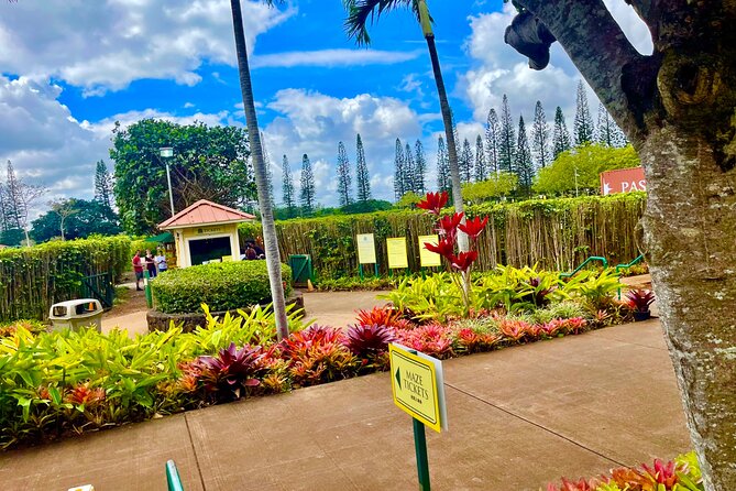 Oahu: Roundtrip Shuttle From Waikiki to Dole Plantation & Haleiwa - Key things to know before you go