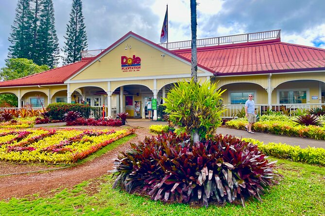 Oahu: Roundtrip Shuttle From Waikiki to Dole Plantation & Haleiwa - Getting picked up from Waikiki (and avoiding the morning scramble)