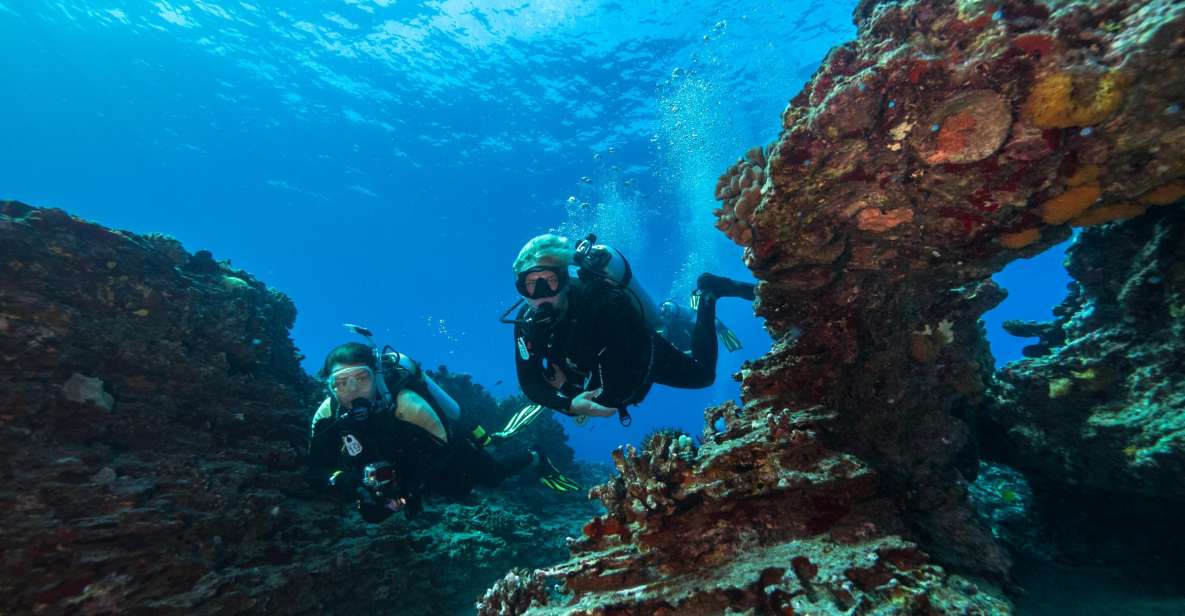 Oahu: Shallow Reef Scuba Dive for Certified Divers - First underwater stop: Kaisers reef swim and reef-life spotting