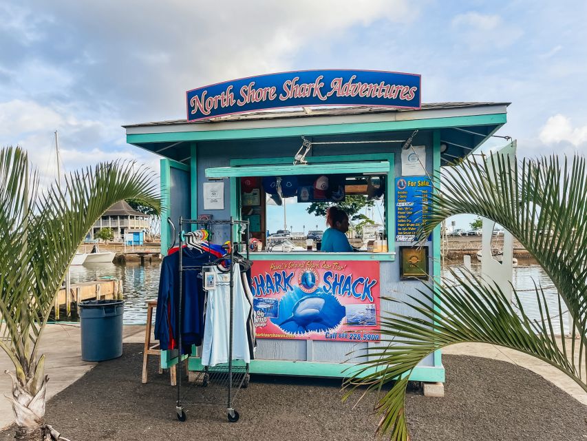 Oahu: Shark Cage Dive on the North Shore - Key Points You’ll Want to Know Before You Go