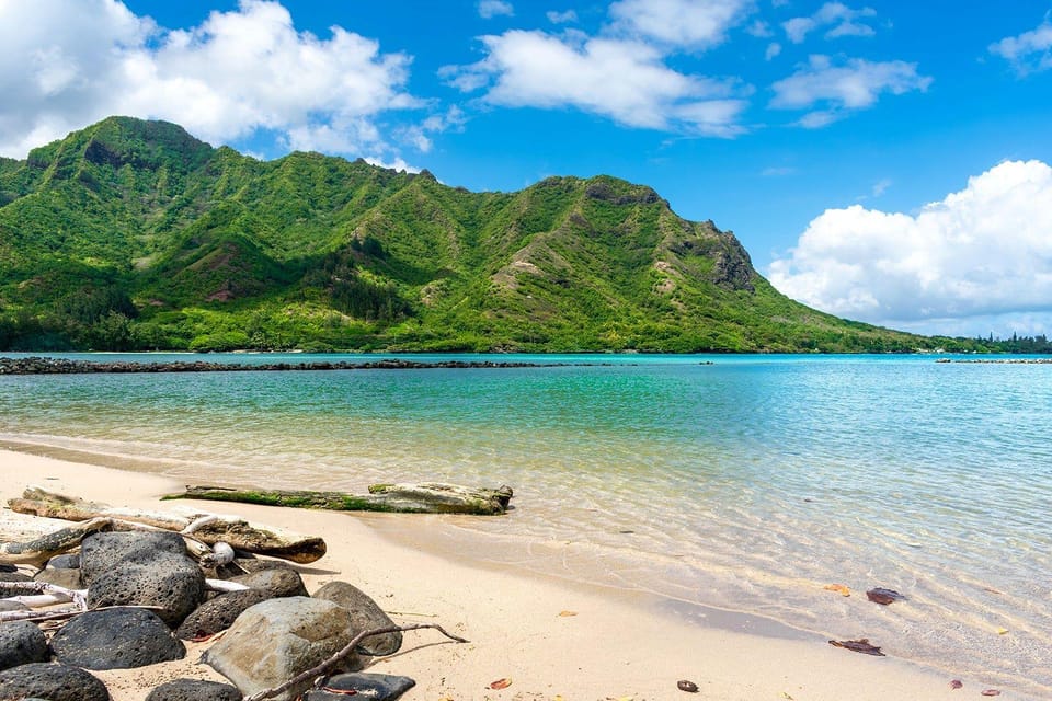 Oahu: Single & Double Kayak 3-Hour River Rental - Key highlights you’ll care about
