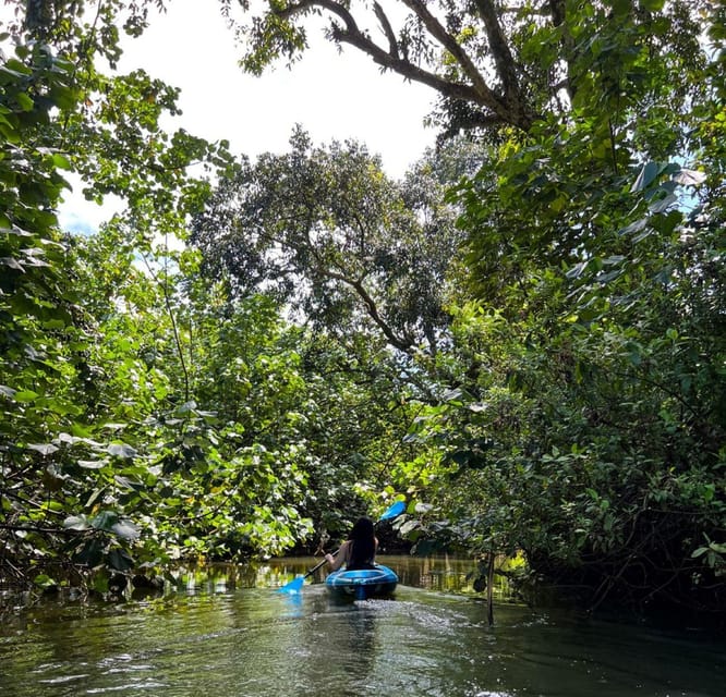 Oahu: Single & Double Kayak 3-Hour River Rental - What 3 hours on the Kahana feels like (and how the route usually plays)