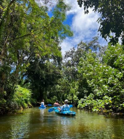 Oahu: Single & Double Kayak 3-Hour River Rental - Single vs double kayak: staying dry or staying ready for a swim