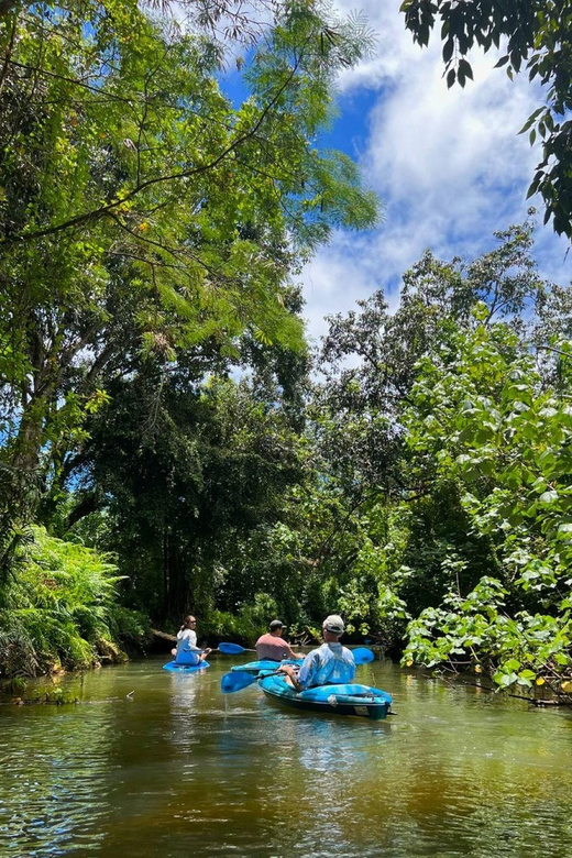 Oahu: Single & Double Kayak 3-Hour River Rental - What to pack: your spray-proof checklist for Kahana