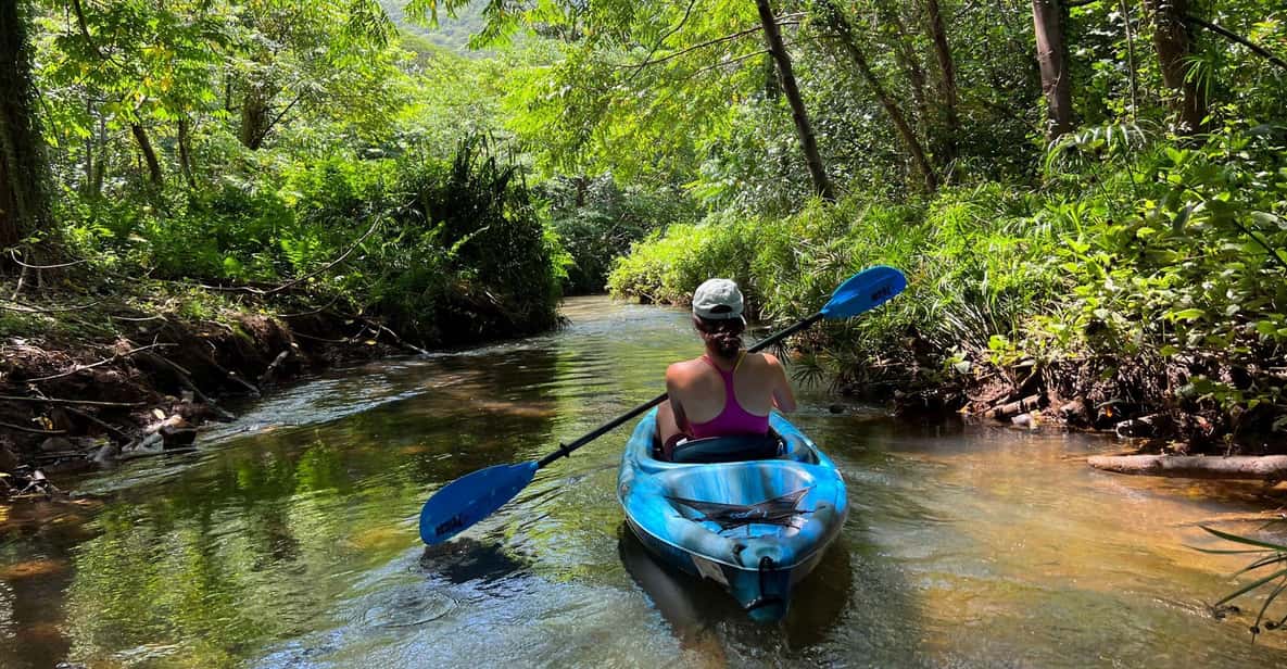 Oahu: Single & Double Kayak 3-Hour River Rental - Who should book: best match for families, couples, and calm-water fans