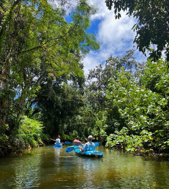 Oahu: Single & Double Kayak 3-Hour River Rental - Single vs double kayak: staying dry or staying ready for a swim