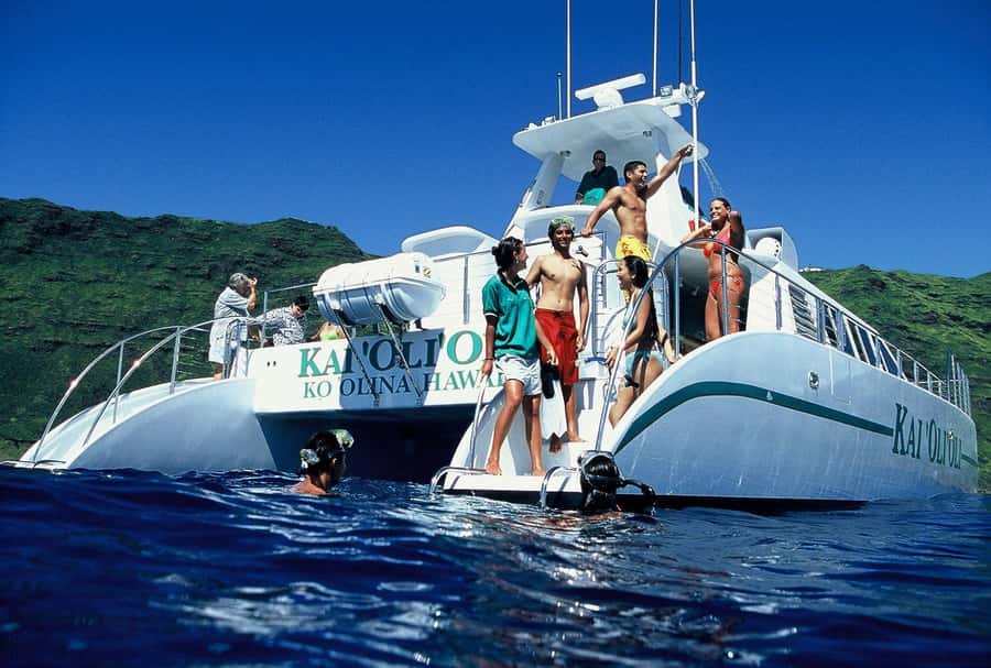 Oahu: Snorkeling & Dolphin Watch Cruise with Hawaiian Buffet - Key Things You’ll Want to Know