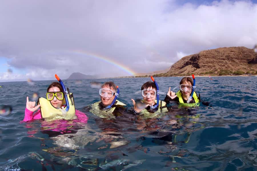 Oahu: Snorkeling & Dolphin Watch Cruise with Hawaiian Buffet - Wai‘anae Catamaran: Turtle Snorkeling Meets Wildlife Watching