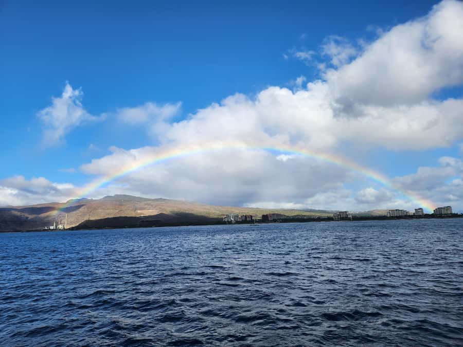 Oahu: Snorkeling & Dolphin Watch Cruise with Hawaiian Buffet - Dolphins and Seasonal Whales: The Guarantee (and What to Expect)