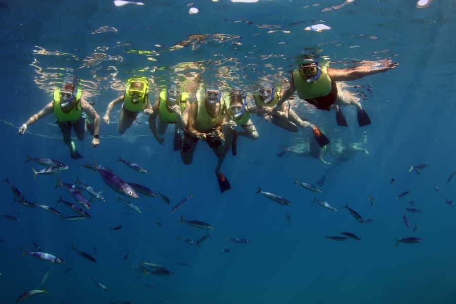 Oahu: Snorkeling & Dolphin Watch Cruise with Hawaiian Buffet - Comfort on a 62-Foot Catamaran: Small Details That Matter