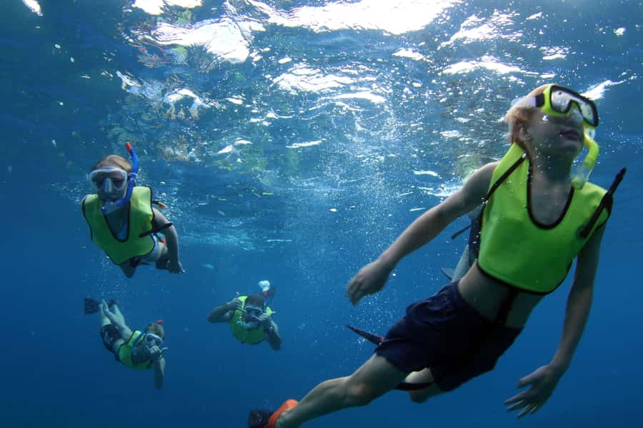 Oahu: Snorkeling & Dolphin Watch Cruise with Hawaiian Buffet - English and Japanese Live Narration: More Than Just Wildlife
