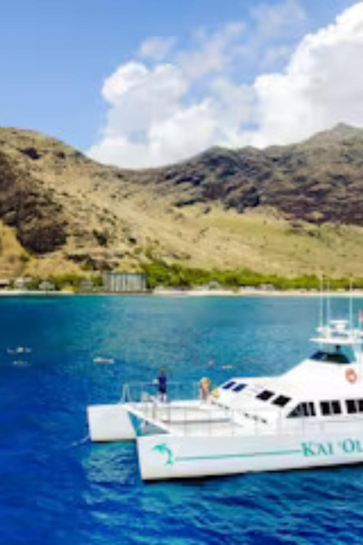 Oahu: Snorkeling & Dolphin Watch Cruise with Hawaiian Buffet - Pickup and Drop-Off Around Waikiki: Make It Easy on Yourself