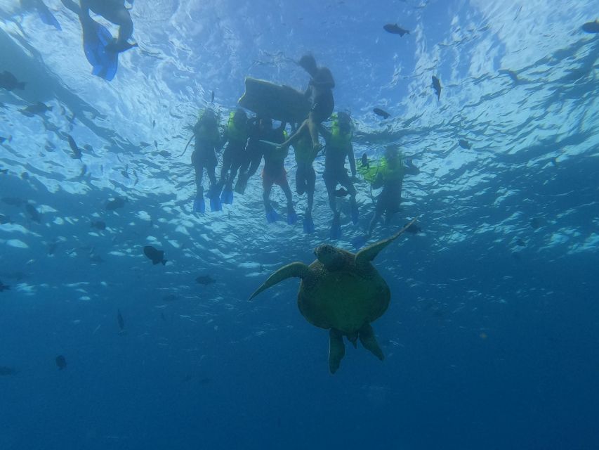 Oahu Snorkeling with Turtles, Water Scooter, Paddleboard - Key points to know before you go
