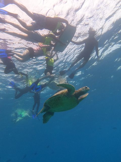 Oahu Snorkeling with Turtles, Water Scooter, Paddleboard - Paddleboarding in open waters: great option if you’re stable