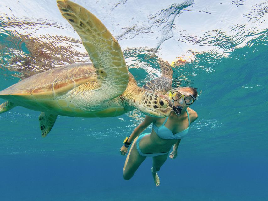 Oahu Snorkeling with Turtles, Water Scooter, Paddleboard - Food on board: musubi, noodles, and warm snacks after the water