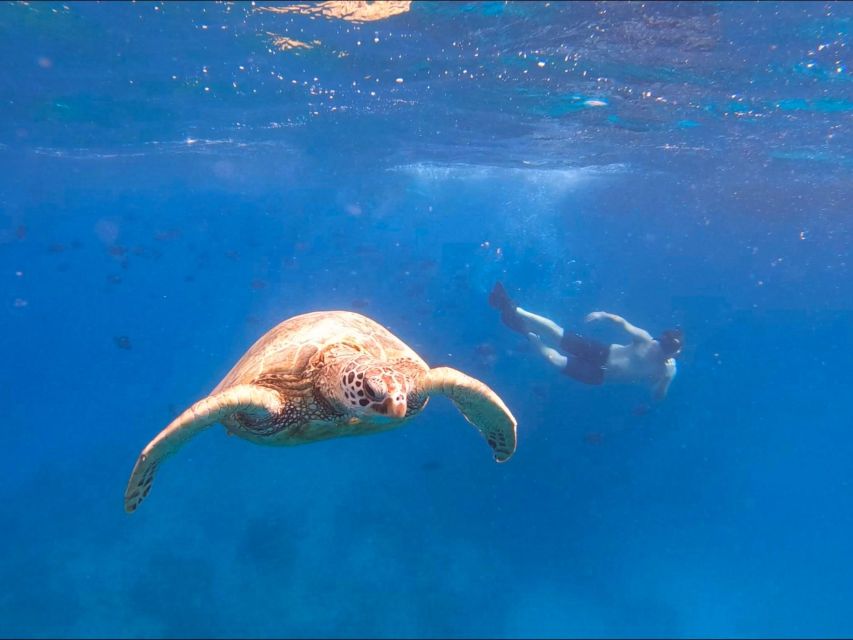 Oahu Snorkeling with Turtles, Water Scooter, Paddleboard - Printed photo in a picture frame: small souvenir, big morale