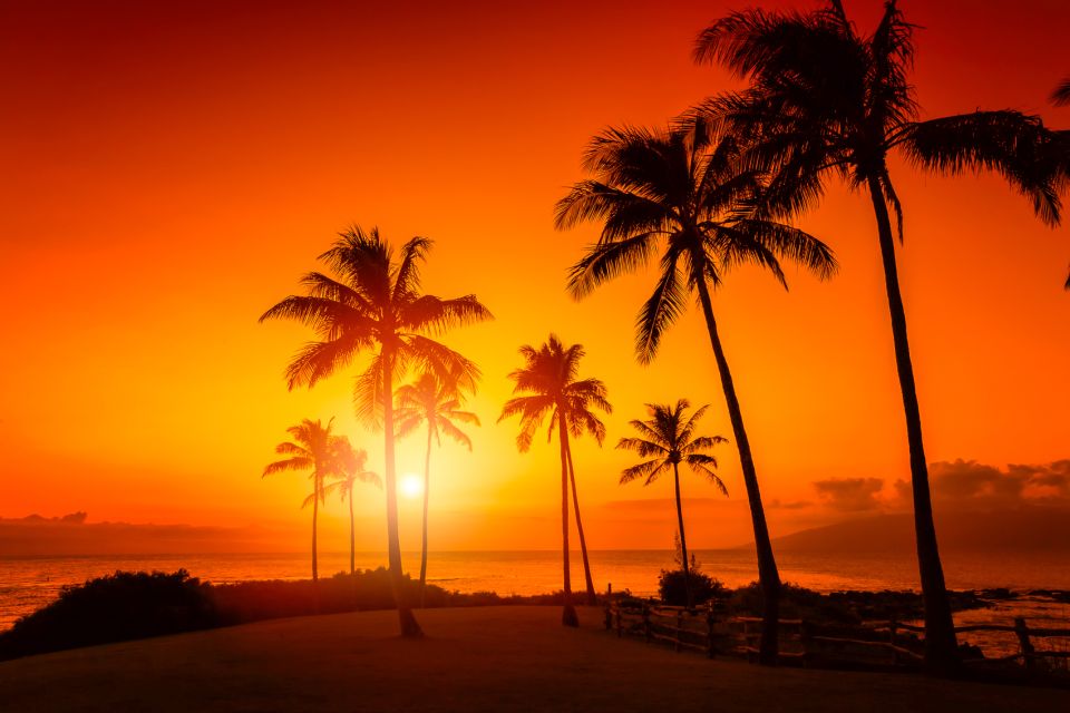 Oahu: Sunset Cruise of West Oahu with Drinks and Appetizers - Gold Coast Catamaran Ride: Stable, Quiet, and Built for Sunset Time